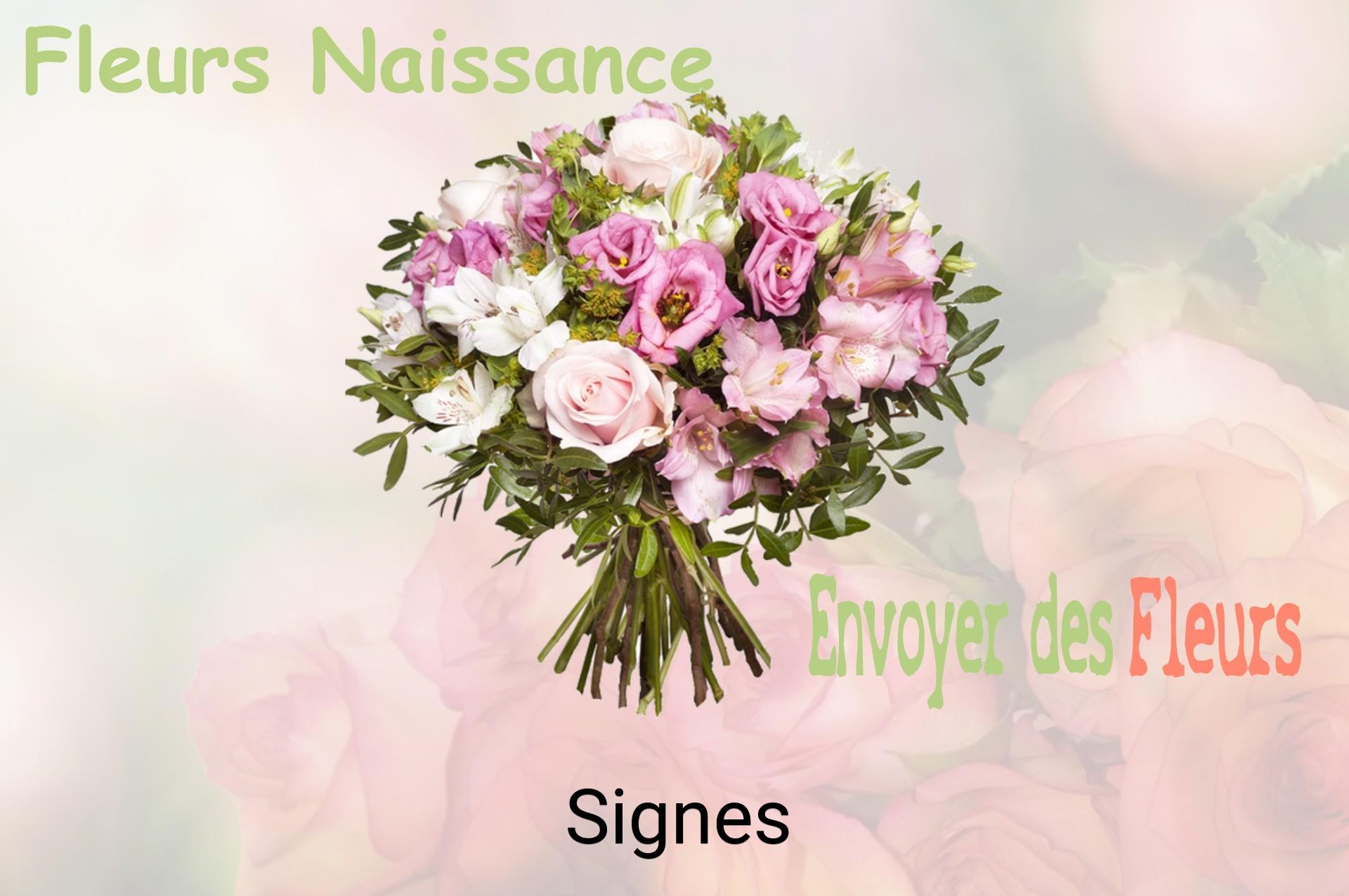 Bouquet de fleurs de naissance livré à Signes